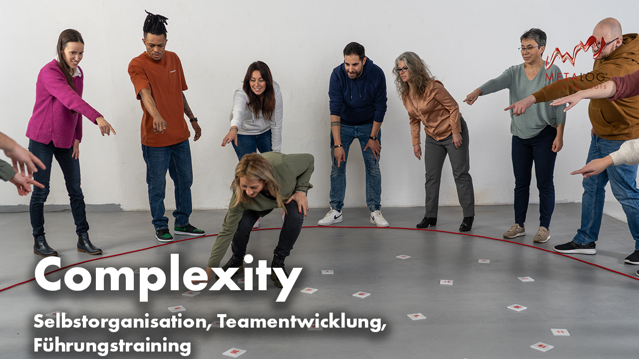 https://metalog.ch/media/video-gallery-local/ac10d2bfd5b7-Complexity.png